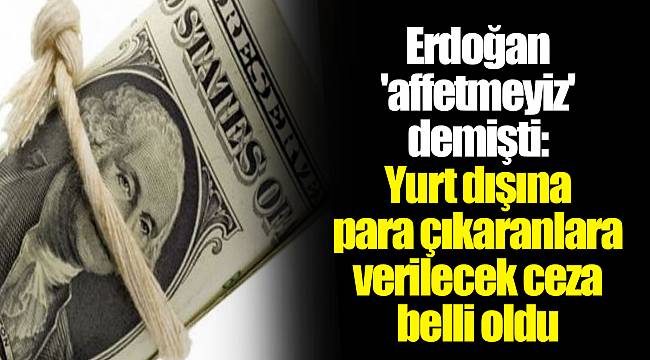 Erdoğan &#039;affetmeyiz&#039; demişti: Yurt dışına para çıkaranlara verilecek ceza belli oldu