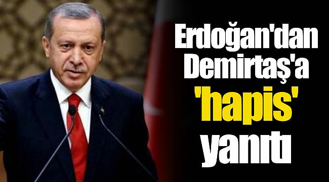 Erdoğan'dan Demirtaş'a 'hapis' yanıtı