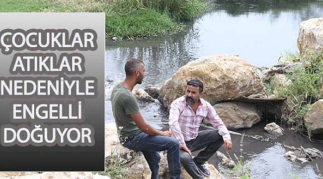 Fetrek öldürüyor!