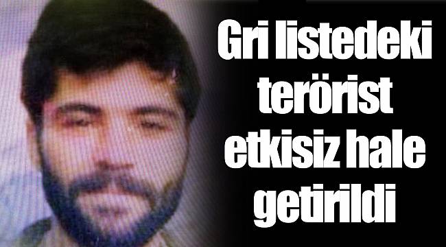 Gri listedeki terörist etkisiz hale getirildi