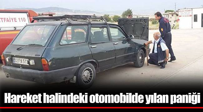 Hareket halindeki otomobilde yılan paniği