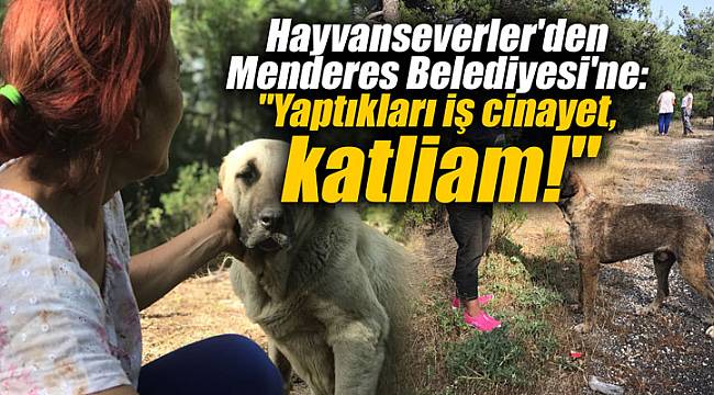 Hayvanseverler'den Menderes Belediyesi'ne: "Yaptıkları iş cinayet, katliam!