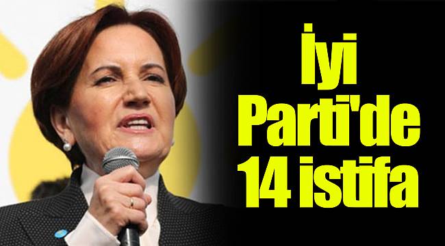 İyi Parti'de 14 istifa