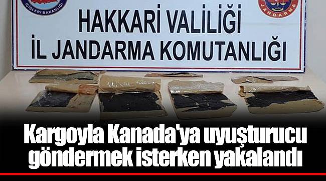 Kargoyla Kanada'ya uyuşturucu göndermek isterken yakalandı