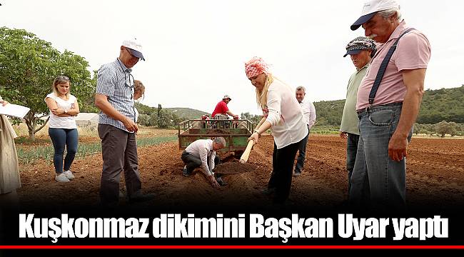 Kuşkonmaz dikimini Başkan Uyar yaptı