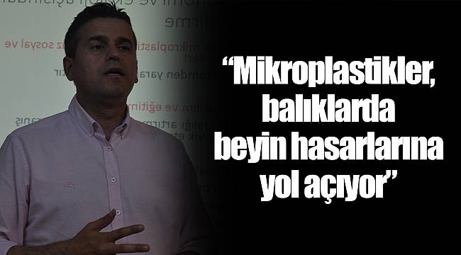 “Mikroplastikler, balıklarda  beyin hasarlarına yol açıyor”