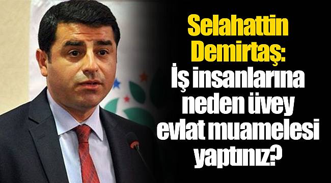 Selahattin Demirtaş: İş insanlarına neden üvey evlat muamelesi yaptınız?