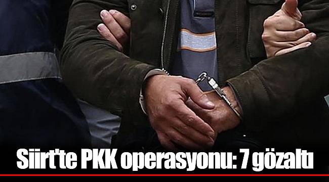 Siirt'te PKK operasyonu: 7 gözaltı