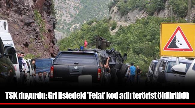 TSK duyurdu: Gri listedeki 'Felat' kod adlı terörist öldürüldü