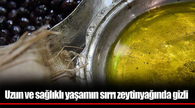  Uzun ve sağlıklı yaşamın sırrı zeytinyağında gizli 