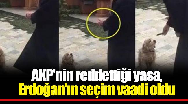 AKP'nin reddettiği yasa, Erdoğan'ın seçim vaadi oldu