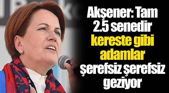 Akşener: Tam 2.5 senedir kereste gibi adamlar şerefsiz şerefsiz geziyor