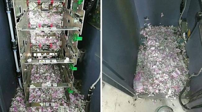 ATM'ye giren fareler içerideki tüm parayı yedi!