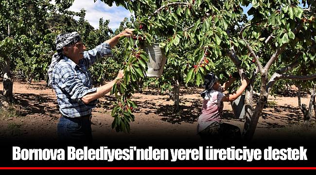 Bornova Belediyesi'nden yerel üreticiye destek