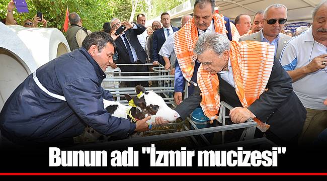 Bunun adı "İzmir mucizesi"