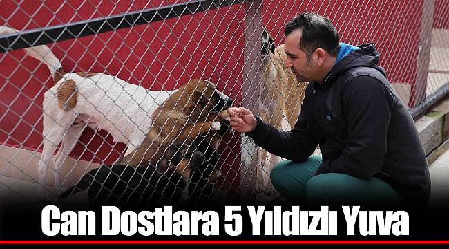 Can Dostlara 5 Yıldızlı Yuva