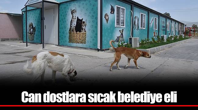 Can dostlara sıcak belediye eli