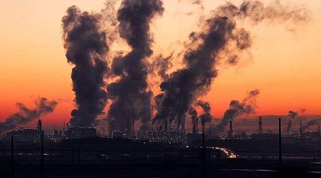 Çevresel tehdite karşı ortak çaba şart