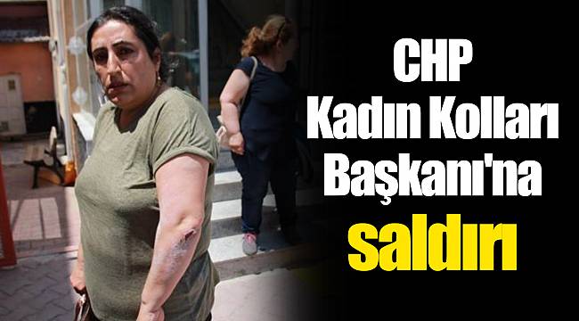 CHP Kadın Kolları Başkanı'na saldırı