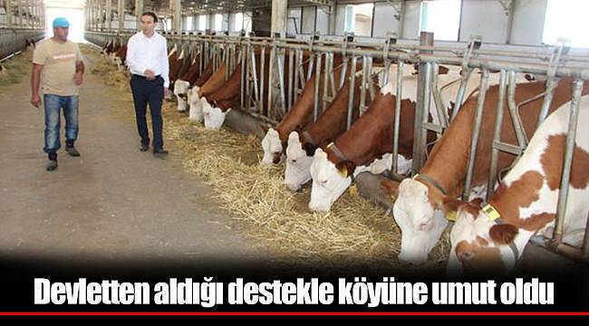 Devletten aldığı destekle köyüne umut oldu