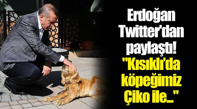 Erdoğan Twitter'dan paylaştı! "Kısıklı’da köpeğimiz Çiko ile..."