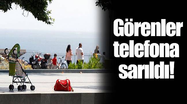 Görenler telefona sarıldı!