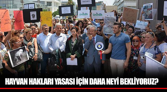HAYVAN HAKLARI YASASI İÇİN DAHA NEYİ BEKLİYORUZ?