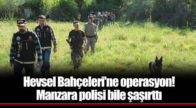 Hevsel Bahçeleri'ne operasyon! Manzara polisi bile şaşırttı
