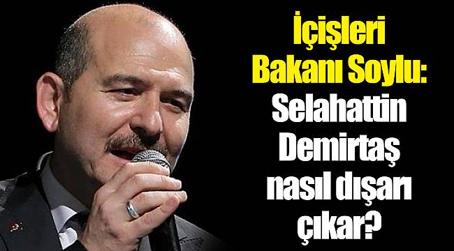 İçişleri Bakanı Soylu: Selahattin Demirtaş nasıl dışarı çıkar?