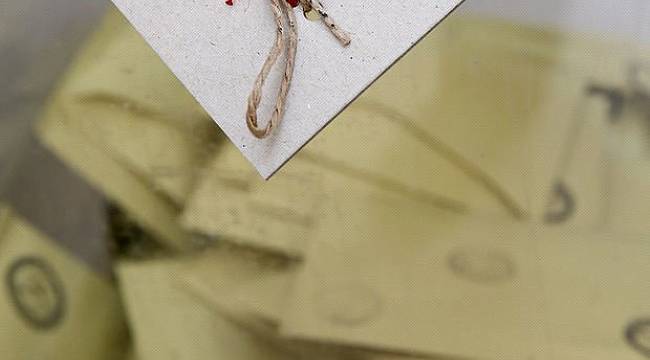 İşte ülke ülke yurtdışı seçim sonuçları