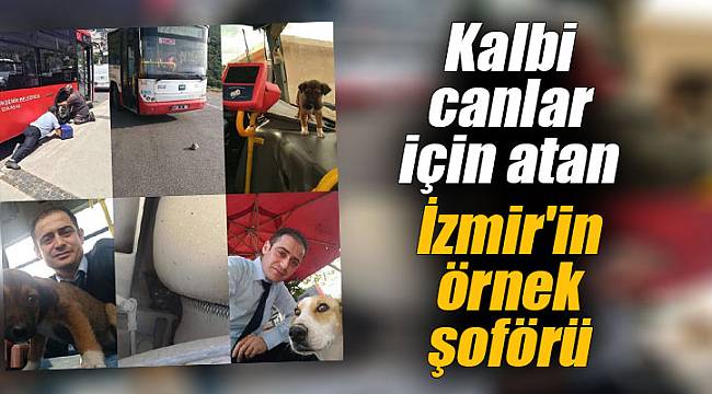 Kalbi canlar için atan İzmir'in örnek şoförü