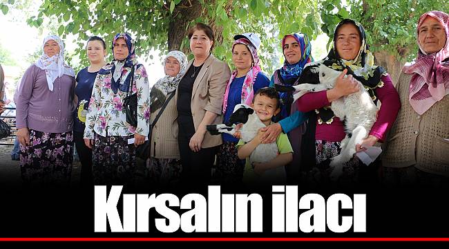 Kırsalın ilacı