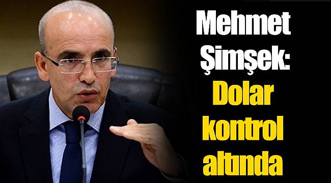 Mehmet Şimşek: Dolar kontrol altında