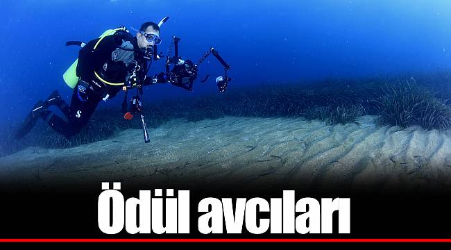 Ödül avcıları