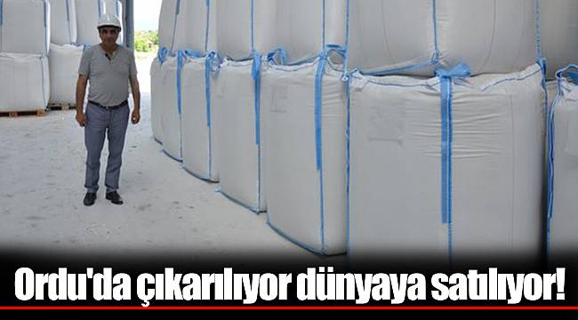Ordu'da çıkarılıyor dünyaya satılıyor!
