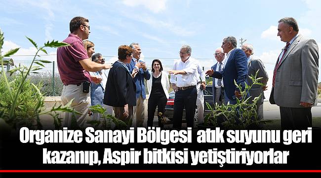 Organize Sanayi Bölgesi  atık suyunu geri kazanıp, Aspir bitkisi yetiştiriyorlar