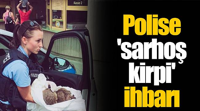 Polise 'sarhoş kirpi' ihbarı