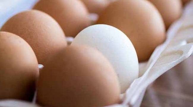 Polonya'da 4 milyon 300 bin yumurtaya toplatma kararı