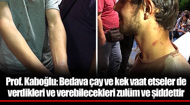 Prof. Kaboğlu: Bedava çay ve kek vaat etseler de verdikleri ve verebilecekleri zulüm ve şiddettir