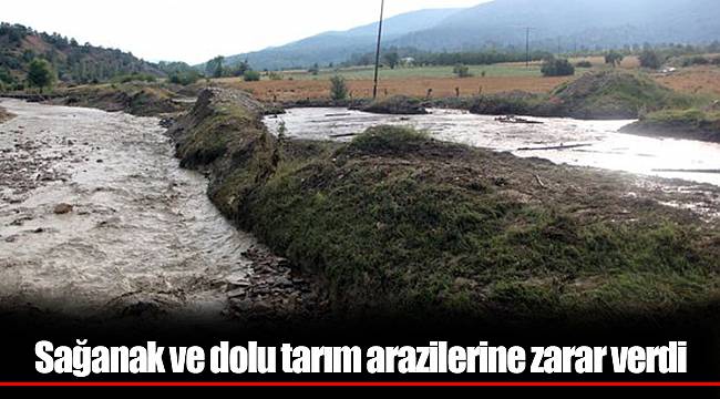 sağanak ve dolu tarım arazilerine zarar verdi