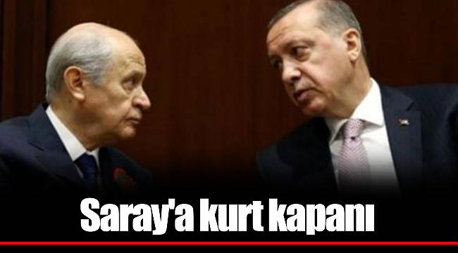 Saray'a kurt kapanı