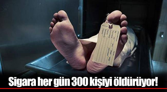 Sigara her gün 300 kişiyi öldürüyor!