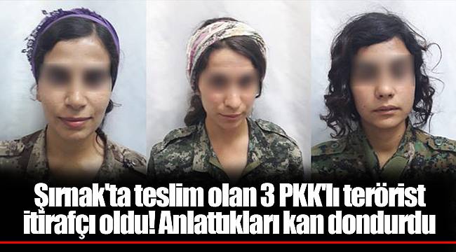 Şırnak'ta teslim olan 3 PKK'lı terörist itirafçı oldu! Anlattıkları kan dondurdu