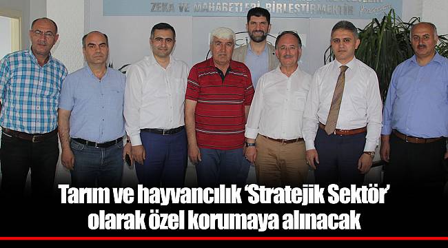 Tarım ve hayvancılık ‘Stratejik Sektör’ olarak özel korumaya alınacak