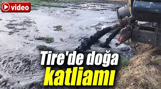 Tire'de doğa katliamı