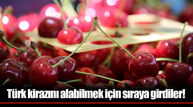 Türk kirazını alabilmek için sıraya girdiler!