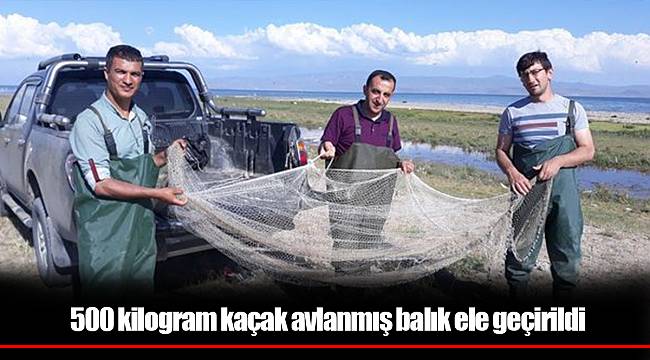 Van’da 500 kilogram kaçak avlanmış balık ele geçirildi