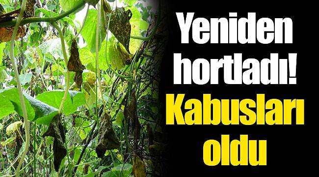 Yeniden hortladı! Kabusları oldu
