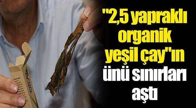 "2,5 yapraklı organik yeşil çay"ın ünü sınırları aştı