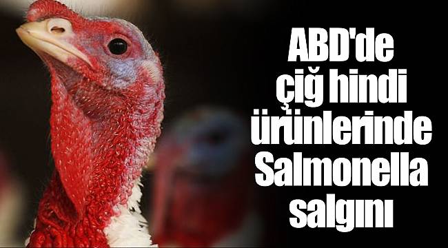 ABD'de çiğ hindi ürünlerinde Salmonella salgını
